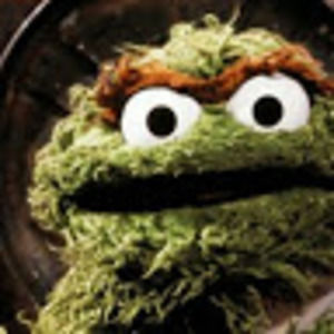 Meet your Posher, Maxwell